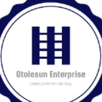 Otolasun Group of Company Company Logo