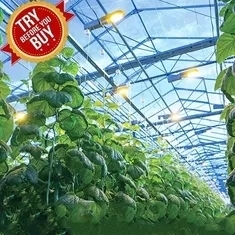 HDPE Monofilament Yarn For Greenhouse Shading Net Suppliers, Manufacturers  China - Low Price - NTEC