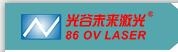 Wuhan Optical Valley Laser Equipments Co., Ltd.