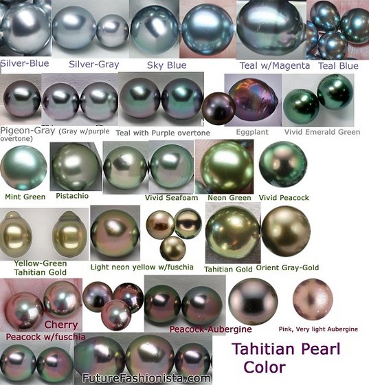 Tahitian Oyster or Black Pearls (Grade 