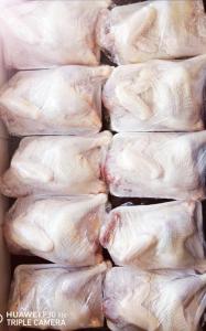 Wholesale 13kg: Fresh and Frozen Whole Chickens, Feet, Paws, Chest Etc