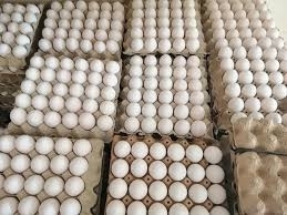 Wholesale carton box: Eggs