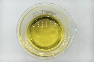Wholesale oil plant: Algae Oil 40% Dha - Refined