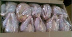 Wholesale frozen chicken: Halal Frozen Chicken
