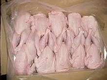 Wholesale paws: Halal Frozen Chicken