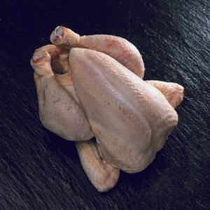 Wholesale Meat & Poultry: Grade A Halal Frozen Chicken Feet / Grade A Halal Frozen Chicken Meat