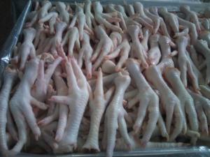 Wholesale seafood: Frozen Chicken Feet and Paws