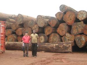 Wholesale sawdust: Azobe Timber