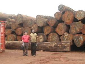 Wholesale Logs: Azobe Timber
