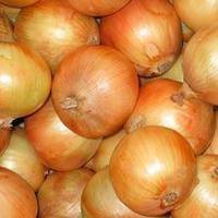 Wholesale sale: Onion