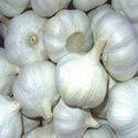 Wholesale Fresh Food: Garlic