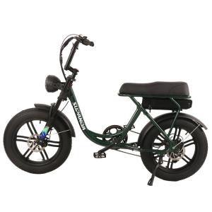 Wholesale electric bike controller: Popular 20-Inch Tire E-Bike      Wholesale Electric Bicycles         Electric Mountain Bike
