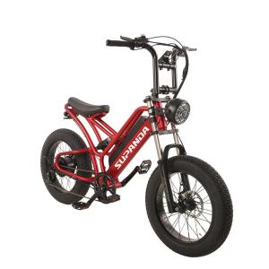 Wholesale transmission chain wheel: Hot Selling E-bike 20 Inch             Electric Bicycle Wholesale       Wholesale Electric Bicycles