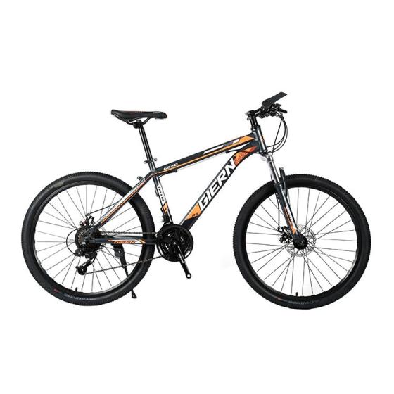 High Quality Mountain Bikes for Men and Women Wholesale Mountain Bike