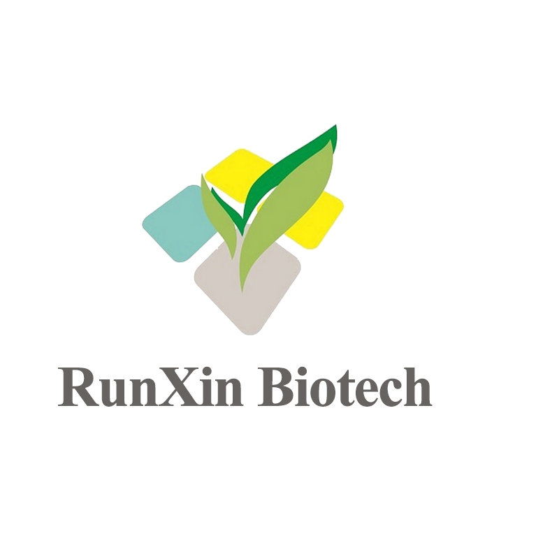 Shandong RunXin Pharma Co., Ltd. Company Logo