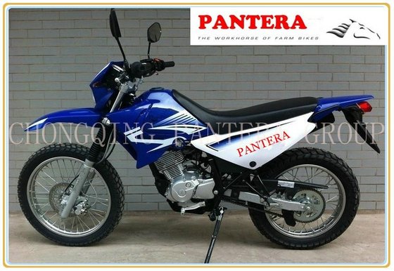 Panterra dirt deals bike 125cc