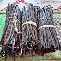 Sell Vanilla Bean from Indonesia