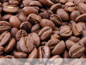 Wholesale imaging: Java Robusta Green Coffee Beans Grade AP1