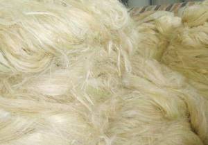 Wholesale ssug sisal: Sisal Fiber UG /SSUG  Direct Supplier.