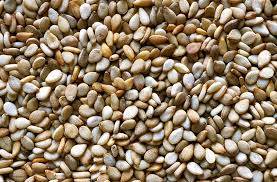 Wholesale Oil Seeds: Sesame Seed
