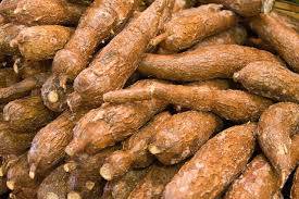 Wholesale fresh: Cassava