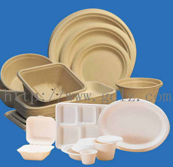 Paper Tableware