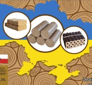 Wholesale wood briquettes: Europe Wood Briquettes RUF, Nestro Briquettes and Pini Kay Briquette for Sale