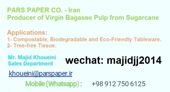 Bagasse Pulp Id 9911731 Buy Iran Sugarcane Pulp Bagasse Pulp Bleached Ec21