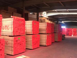 Wholesale lighting: European Beech Lumber