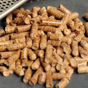 Wholesale pellet fuel: Stock Cheap 100% High Quality Pine Wood Pellet Fuel