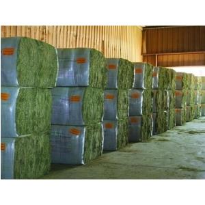 Wholesale animal feed: Super Top Quality Alfafa Hay for Animal Feeding Stuff Alfalfa / Timothy / Alfalfa Hay for Sale***..