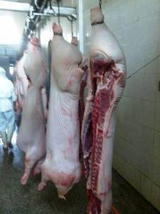 Wholesale Fresh Food: Frozen Pork / Pig Half Carcasses, 75-100 Kg Per Half Carcass