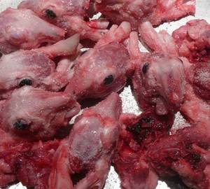 Wholesale carton: Frozen Rabbit Heads with Eyes for Sale
