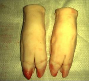 Wholesale moisturizing: Frozen Pork Front Feet and Pork Hind Feet