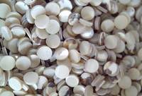 Buy Trochus Shell Button Blank