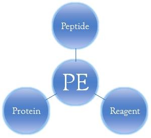 custom peptide synthesis price