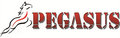 Pegasusglassware Co.,Ltd. Company Logo