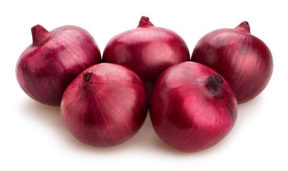 Sell top quality red fresh onion