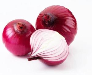 Wholesale s: Top Quality Red Fresh Onion for Export