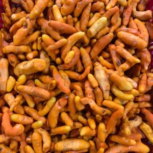 Wholesale anti antioxidants: Frozen Turmeric