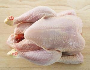 Wholesale slaughter: Halal Whole Frozen Chicken