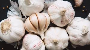 Wholesale fresh garlic: Fresh Garlic