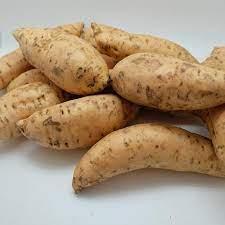 Wholesale fresh potatoes: Fresh Sweet Potatoes