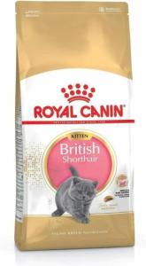 Wholesale Pet & Products: Royal Canin Kitten British Shorthair Dry Cat Food - 2kg