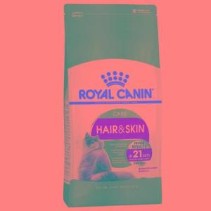 Wholesale Pet & Products: Royal Canin 500G High Protein Best Wholesale Bulk Dry Cat Kitten Food