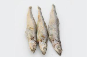 Wholesale Bag Making Machinery: Freeze-Dried PET Seafood Series