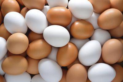 Sell Fresh eggs brown and white