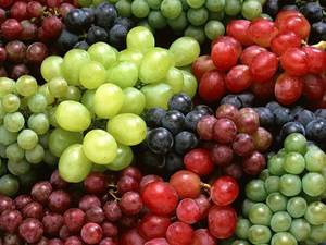 Wholesale red grape: Fresh Grapes