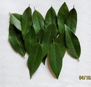 Tamarind Arrowroot Basil Bay Leaves Caraway Seed Id