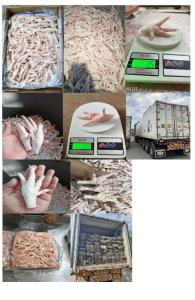 Wholesale special: WholeSale Frozen Chicken Feet/Paws To China